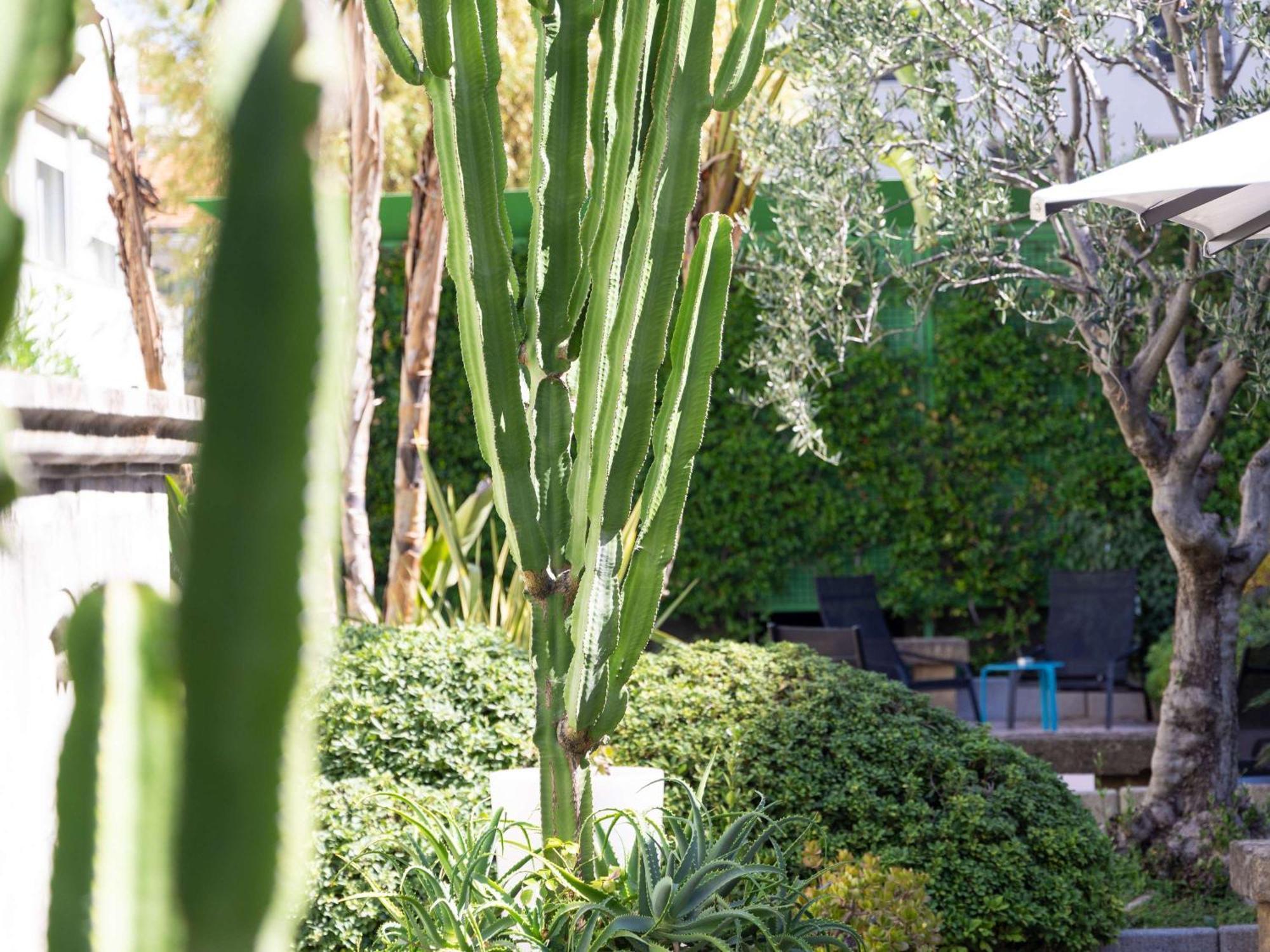 Mercure Nice Centre Notre Dame Exterior foto